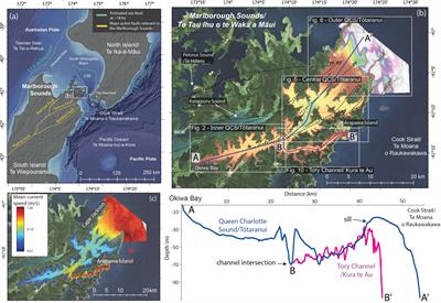 What We Do in the Shallows: Natural and Anthropogenic Seafloor Geomorphologies in a Drowned River Valley, New Zealand